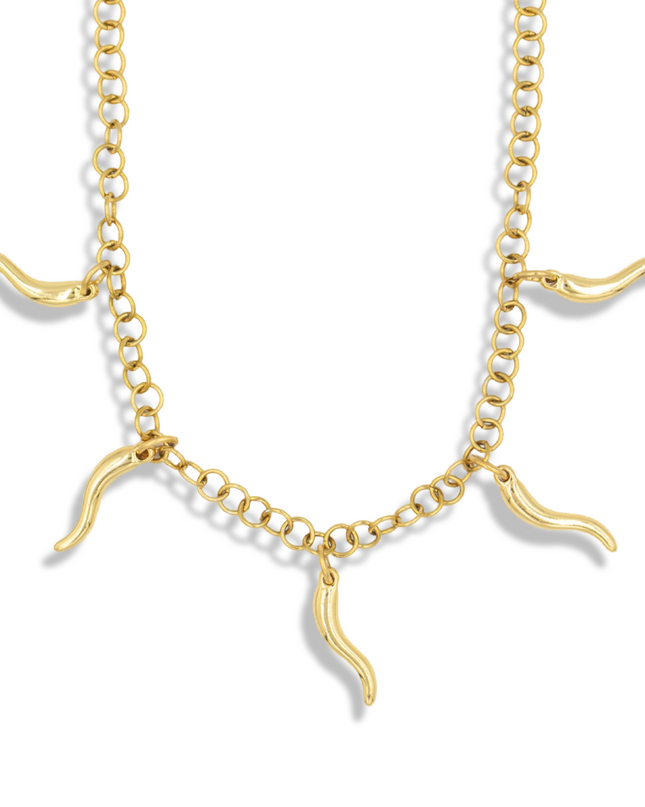Plenty Talisman – The Sacred Cornicello Necklace