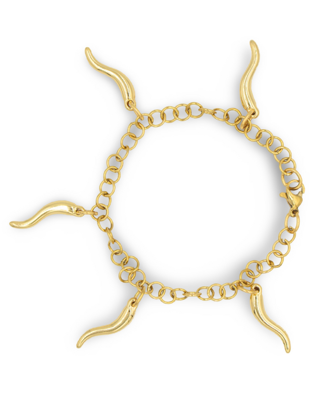 The Plenty Bracelet – A Talisman of Protection & Abundance