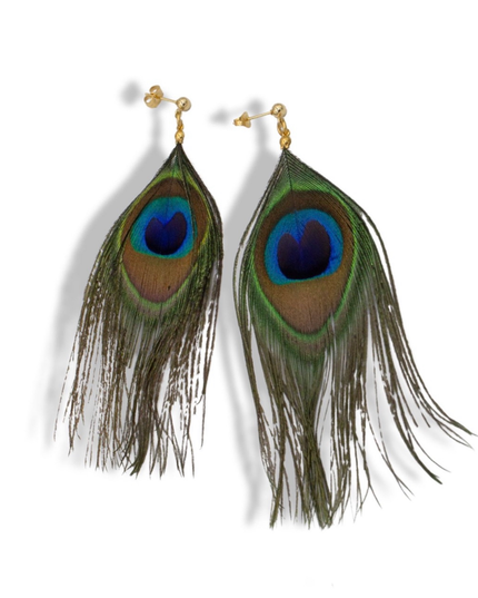 Beauty & Balance Earrings - Peacock Feathers