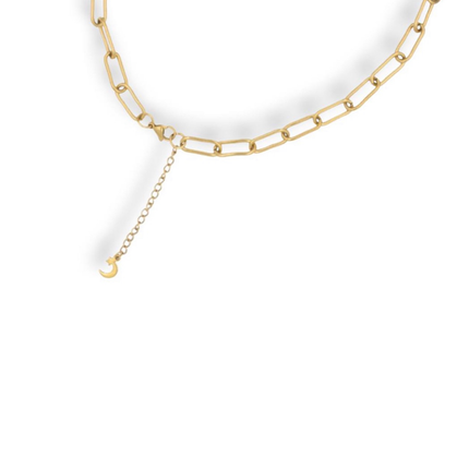 Rose & King Lariat Necklace