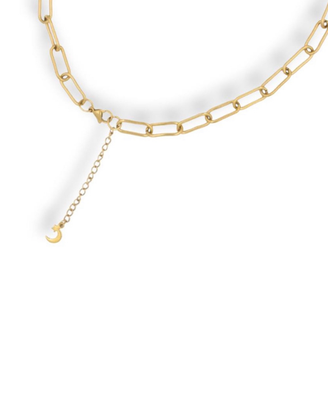 Rose & King Lariat Necklace