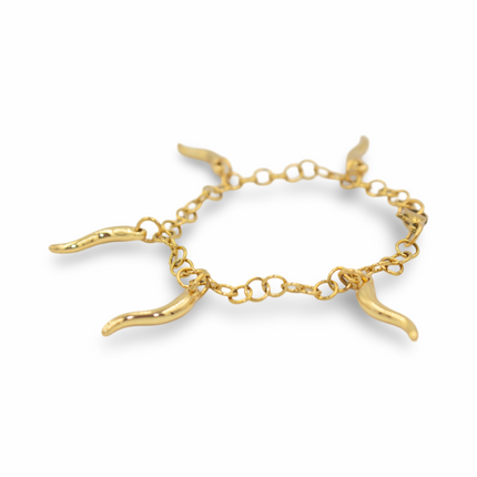 The Plenty Bracelet – A Talisman of Protection & Abundance