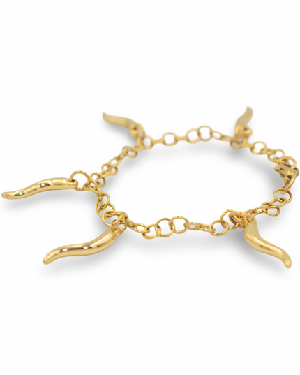 The Plenty Bracelet – A Talisman of Protection & Abundance