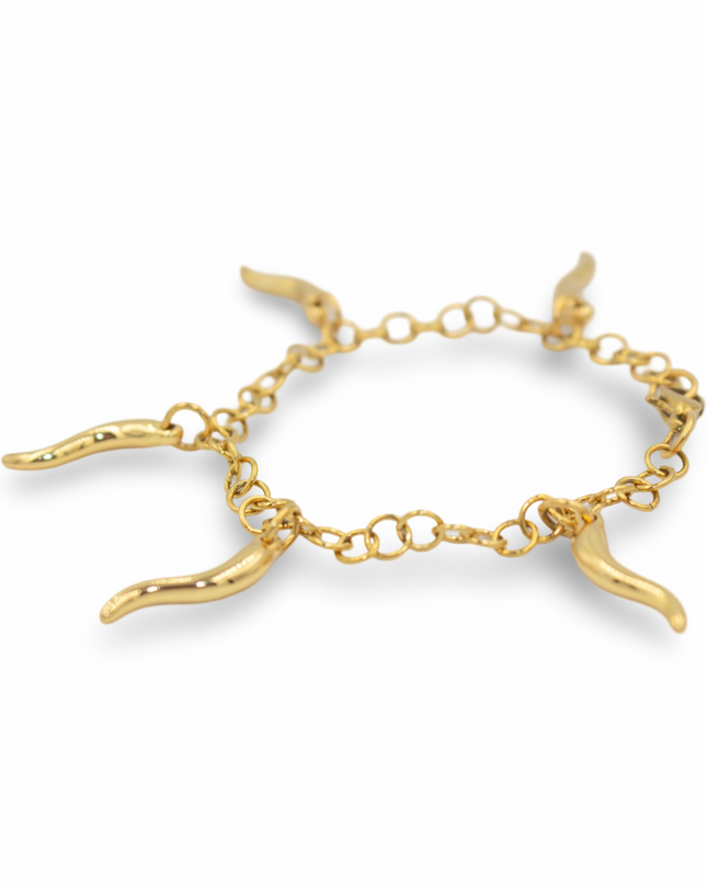 The Plenty Bracelet – A Talisman of Protection & Abundance